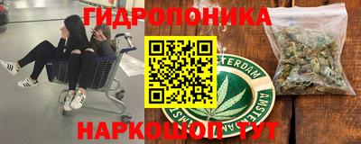 эйфоретик Свободный