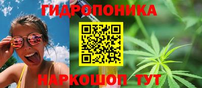 эйфоретик Свободный