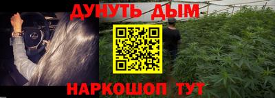 крисы Севастополь