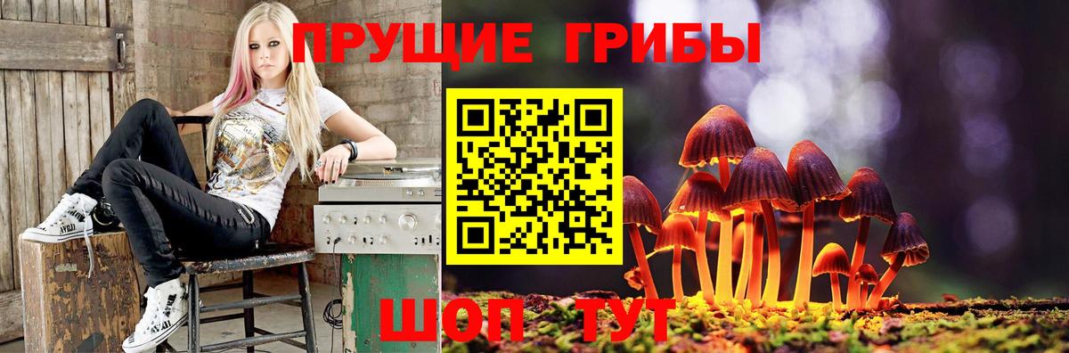 Орёл  Псилоцибиновые грибы мицелий  Галлюциногенные грибы Magic Shrooms  Вход с VPN 